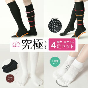 y4Zbgzkenkofan ɂ̒\bNX4Zbg fB[X nC\bNX XgbLO 5{w A[`T|[g\bNX  ȍ Xr[eB[ zCg ubN STCY 