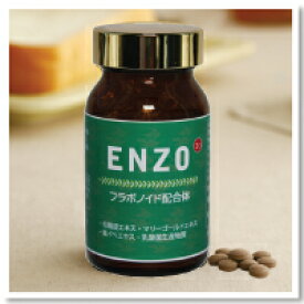 「ENZO-20」グルタチオンパッチをサポートする高品質フラボノイドのスタンダード／送料無料
