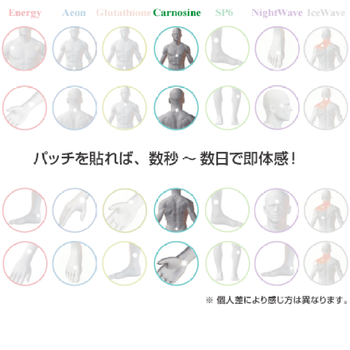 楽天市場】カルノシンパッチ/LifeWaveライフウェーブ社製【正規品 ...
