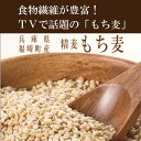 TVで話題の兵庫県産「 もち麦 」(神崎郡福崎町)【GI値：50】250g（大さじ約25杯分） 低GI食品 水溶性【水溶性食物繊維】【βグルカン】【もちもち】ポ... ランキングお取り寄せ