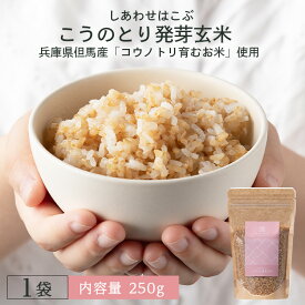楽天市場 発芽玄米の通販