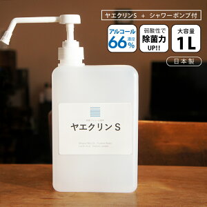 KL yz [ AR[ 1L pV[|vt y菜 ɂ₳z g̉ HiɂS GNS ٓ }XN TTt { HiY