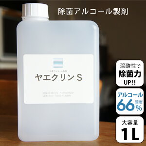 KL yzr[]4.8 [ AR[   yɂ₳z HiɂgIɓĂS _ TTt }XN 1L A { GN