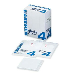 ŋێڊpK[[@uX^[AJ@4܁@245304@1X100