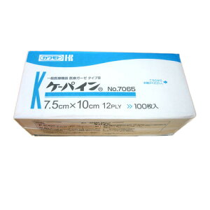 P[pC@NoD7065@ŋہ@021|765000@@100