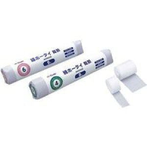 IITL@ȃz[^C@ْf@6@00040061@6