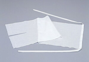 T字帯1号 晒 053001 1枚