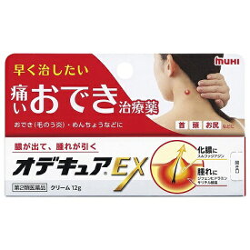 【第2類医薬品】オデキュアEX　12g