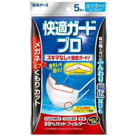 快適ガードプロ　プリーツタイプ　ふつうサイズ　5枚