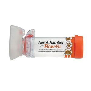 GA`o[vX@ÓdCh~^@p}XN@T031032@1