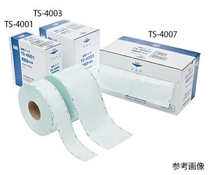 HP���[���o�b�O�iAC�EEO�p�j�@TS-4006�@310×100mm�@1��