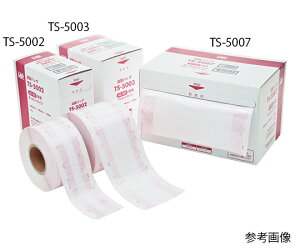HP���[���o�b�O�iAC/EOG�K�X���p�M���[�b�g���[���^�C�v�j TS-5006�@320mm×80mm×100m�@1��