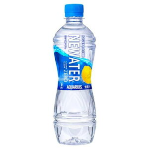 ANGAX@j[EH[^[@PET@500mL×24{