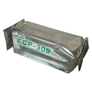 �L�^���@KAM�|ECP�|309�@10��
