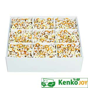 ᑗ₹˂񋄃It@ɐ@M[@2000_