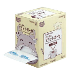 SFŋYJbgK[[is@z^Cvj@19119@5cm×5cm@ SCC1016-1@1i30܁j