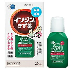 【第3類医薬品】イソジンきず薬 30mL