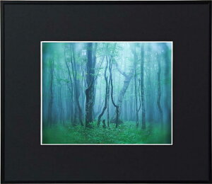 yzzKenko M[ Z ubN AGY-6-BK PR[gLi[ KENKO TOKINA z W W ʐ^W tHgt[