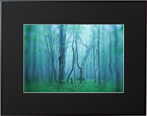 yzzKenko M[ Chl ubN AGY-W4-BK PR[gLi[ KENKO TOKINA z W W ʐ^W tHgt[