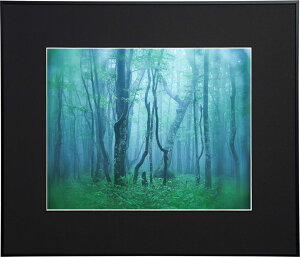 yzzKenko M[  ubN AGY-H-BK PR[gLi[ KENKO TOKINA yzz W W ʐ^W tHgt[