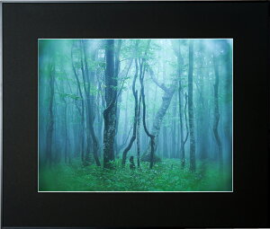 yzzKenko M[ S ubN AGY-Z-BK PR[gLi[ KENKO TOKINA yzz W W ʐ^W tHgt[