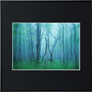 yzzKenko M[ A4XNGA ubN AGY-A4SQ-BK PR[gLi[ KENKO TOKINA z W W ʐ^W tHgt[