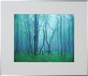 yzzKenko M[  Vo[ AGY-H-SV PR[gLi[ KENKO TOKINA yzz W W ʐ^W tHgt[