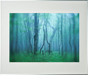 yzzKenko M[ A2 Vo[ AGY-A2-SV PR[gLi[ KENKO TOKINA yzz W W ʐ^W tHgt[