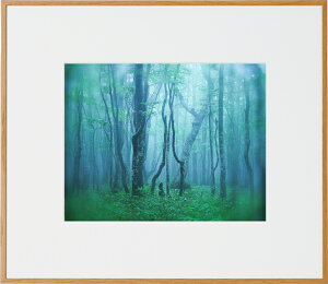 yzzKenko M[ Z i` AGY-6-NA PR[gLi[ KENKO TOKINA z W W ʐ^W tHgt[