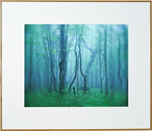 yzzKenko M[  i` AGY-H-NA PR[gLi[ KENKO TOKINA yzz W W ʐ^W tHgt[