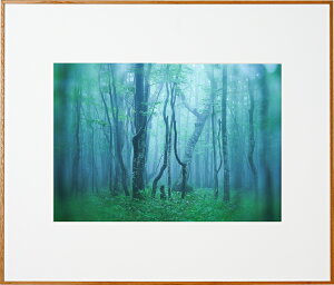 【即配】Kenko ギャラリー A3 ナチュラル AGY-A3-NA ケンコートキナー KENKO TOKINA 【送料無料】額縁 展示会 個展 写真展 フォトフレーム