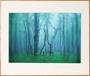 yIm1/2Iő100%PobN(EvGg[)zyzzKenko M[ A2 i` AGY-A2-NA PR[gLi[ KENKO TOKINA yz