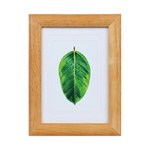 yzzKenko ʐ^ S̖ `[N PS-GM-TI PR[gLi[ KENKO TOKINA