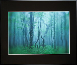 yzzKenko M[ A2 ubN AGY-A2-BK PR[gLi[ KENKO TOKINA yzz W W ʐ^W tHgt[