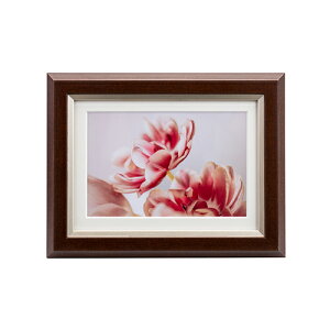 yzzUVJbgANz OCXEMiui~Ej 2L/KGp uE JGM-2L-BR PR[ KENKO tHgt[