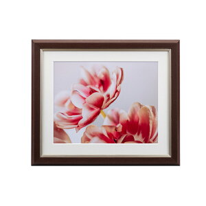 【即配】UVカットアクリル額縁 グレイスメロウMiu(ミウ) 六切 ブラウン JGM-6-BR ケンコー KENKO フォトフレーム