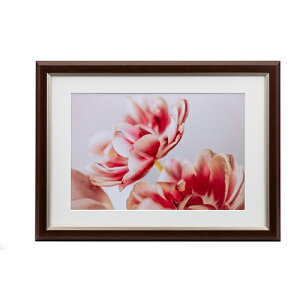 yzzUVJbgANz OCXEMiui~Ej A4EChZ/B4p uE JGM-A4-BR PR[ KENKO tHgt[