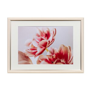 【即配】UVカットアクリル額縁 グレイスメロウMiu(ミウ) A3/B3兼用 アイボリー JGM-A3-IV ケンコー KENKO 【送料無料】フォトフレーム