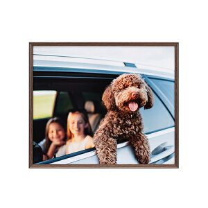 �y�����I�m��1/2�I�ő�100%P�o�b�N(�������E�v�G���g���[)�z�y���z�z�A�~�l�I�E�O�����f Amineo grande �l�� �u���E�� AAG-4-BR �P���R�[ KENKO �y���������z
