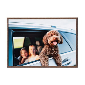�y�����I�m��1/2�I�ő�100%P�o�b�N(�������E�v�G���g���[)�z�y���z�z�A�~�l�I�E�O�����f Amineo grande ���C�h�l�� �u���E�� AAG-W4-BR �P���R�[ KENKO �y���������z