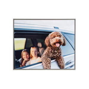 �y�����I�m��1/2�I�ő�100%P�o�b�N(�������E�v�G���g���[)�z�y���z�z�A�~�l�I�E�O�����f Amineo grande �S�� �O���[ AAG-Z-GRY �P���R�[ KENKO �y���������z