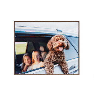 �y�����I�m��1/2�I�ő�100%P�o�b�N(�������E�v�G���g���[)�z�y���z�z�A�~�l�I�E�O�����f Amineo grande �S�� �u���E�� AAG-Z-BR �P���R�[ KENKO �y���������z