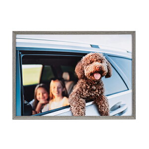 �y�����I�m��1/2�I�ő�100%P�o�b�N(�������E�v�G���g���[)�z�y���z�z�A�~�l�I�E�O�����f Amineo grande A4 �O���[ AAG-A4-GRY �P���R�[ KENKO �y���������z