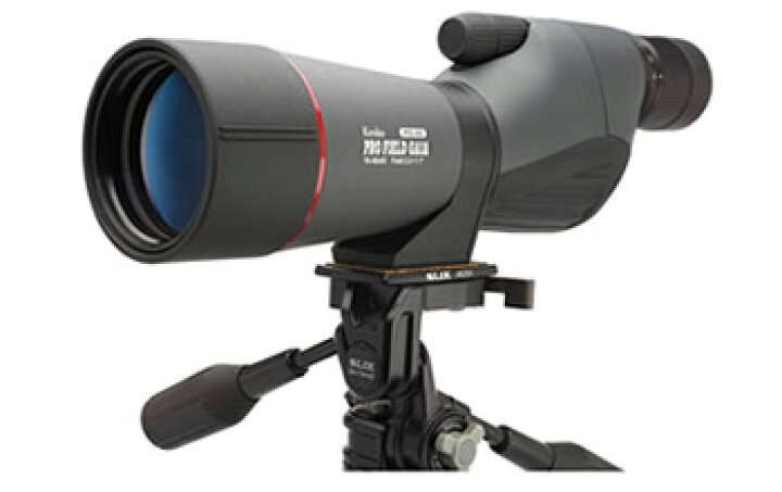 楽天市場】【☆数量限定アウトレット】【処分特価】【即配】16-48x65 