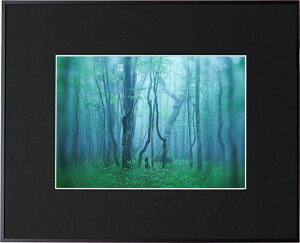�y���z�zKenko �M�������[ A4 �u���b�N AGY-A4-BK �P���R�[�g�L�i�[ KENKO TOKINA �z�� �W���� �W �ʐ^�W �t�H�g�t���[��