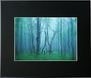 �y���z�zKenko �M�������[ A3 �u���b�N AGY-A3-BK �P���R�[�g�L�i�[ KENKO TOKINA �y���������z�z�� �W���� �W �ʐ^�W �t�H�g�t���[��