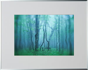 �y���z�zKenko �M�������[ ���C�h�l�� �V���o�[ AGY-W4-SV �P���R�[�g�L�i�[ KENKO TOKINA �z�� �W���� �W �ʐ^�W �t�H�g�t���[��