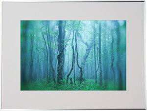 �y���z�zKenko �M�������[ A3�m�r �V���o�[ AGY-A3N-SV �P���R�[�g�L�i�[ KENKO TOKINA �y���������z�z�� �W���� �W �ʐ^�W �t�H�g�t���[��
