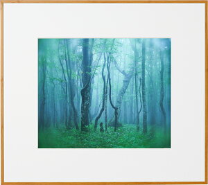 �y���z�zKenko �M�������[ �l�� �i�`������ AGY-4-NA �P���R�[�g�L�i�[ KENKO TOKINA �z�� �W���� �W �ʐ^�W �t�H�g�t���[��