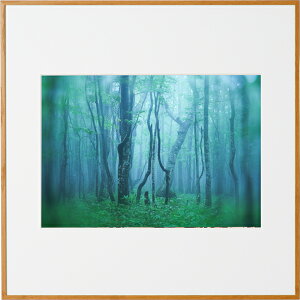 �y���z�zKenko �M�������[ A4�X�N�G�A �i�`������ AGY-A4SQ-NA �P���R�[�g�L�i�[ KENKO TOKINA �z�� �W���� �W �ʐ^�W �t�H�g�t���[��
